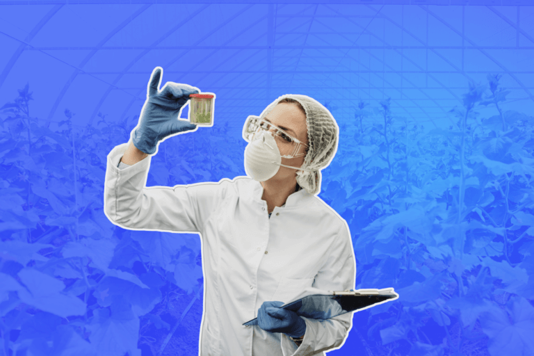 c&oacute;mo contar con un buen sistema de gesti&oacute;n de calidad