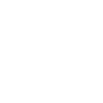 transvip_logo